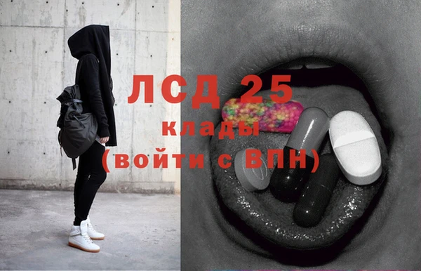 тгк Новозыбков