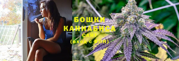тгк Новозыбков
