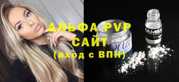тгк Новозыбков