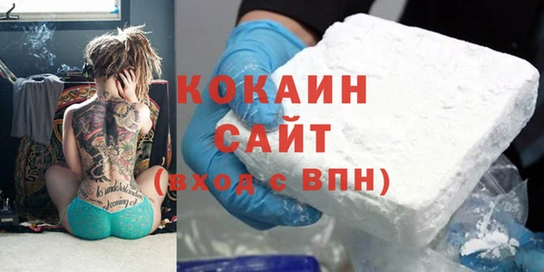 тгк Новозыбков