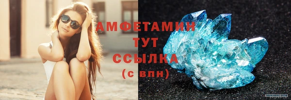 тгк Новозыбков